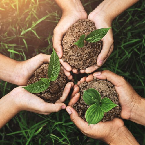 servicios atención mundo agrario